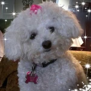 Meet your Posher, Denise